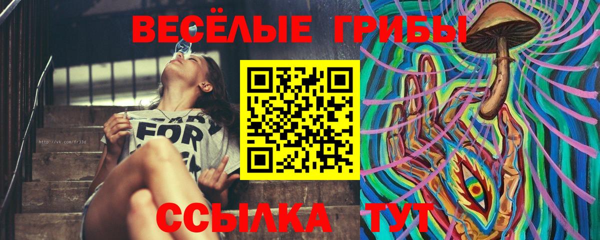 где купить   Псилоцибиновые грибы GOLDEN TEACHER  Вход с VPN  Среднеуральск 
