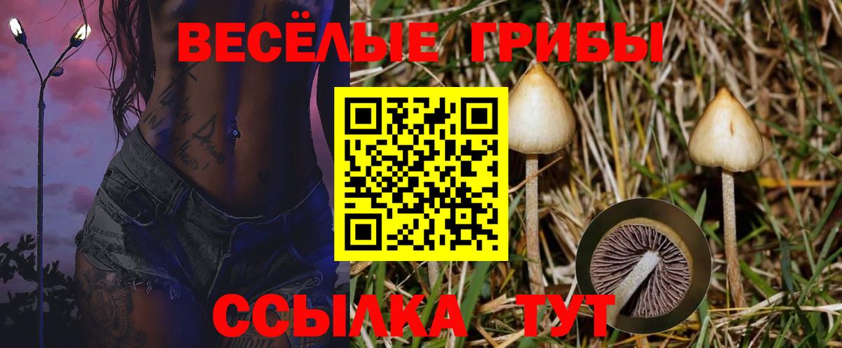 Галлюциногенные грибы мицелий Среднеуральск
